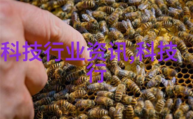 任丘地磅厂黄骅地磅厂 电子汽车衡检测